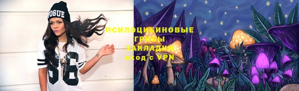 трава Аркадак