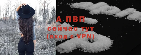стаф Арсеньев