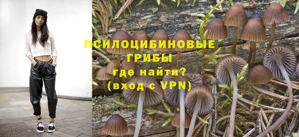 тгк Новокубанск