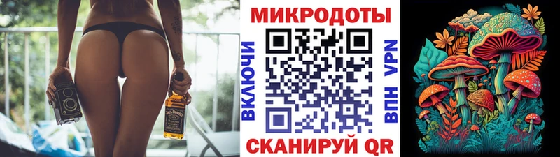 как найти   Отрадный  Галлюциногенные грибы Psilocybine cubensis 